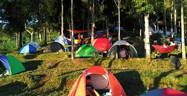 5 Tempat Camping di Temanggung yang Menawarkan Pemandangan Indah dan Asri, Banyak Spot Fotonya!