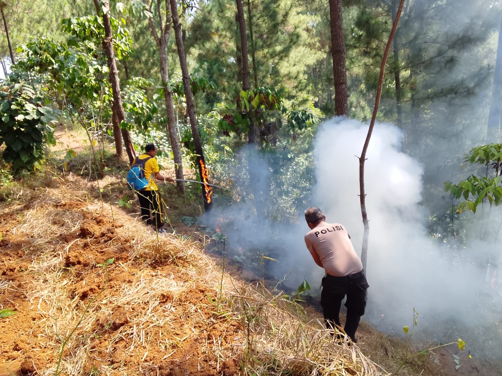 Hutan Pinus Karanggayam Kebumen Terbakar, Pemadaman Secara Manual 