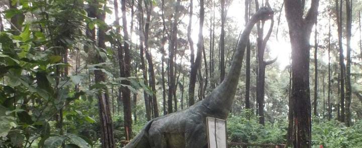 Dino Park Soko Langit: Sensasi Hutan Pinus di Pekalongan