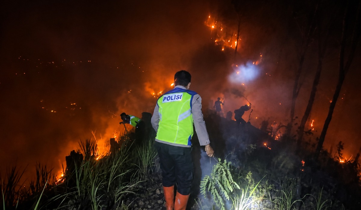 1,5 Hektare Lahan Perhutani di Karanggayam Kebumen Terbakar