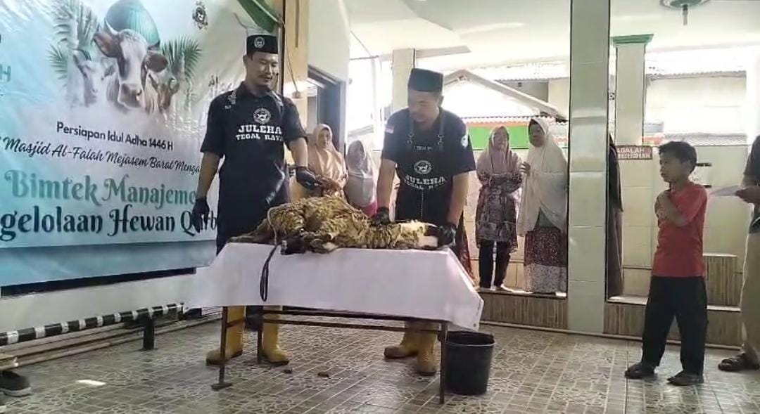 Juru Sembeli Halal Beri Bimtek Manajemen Pengelolaan Hewan Kurban