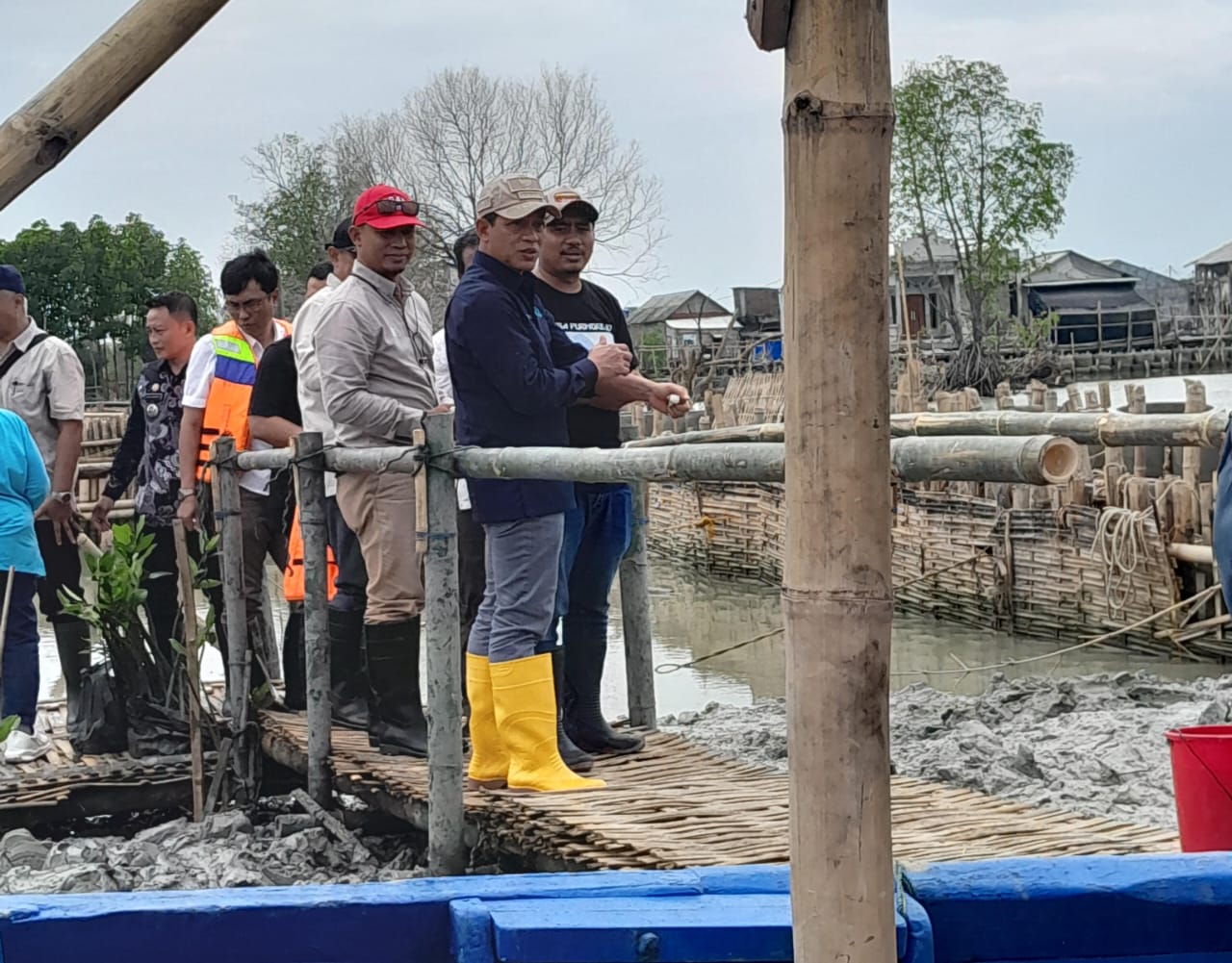 Perkuat Ketahanan Pesisir, Menteri LH : Target Tanaman 700 Hektare Mangrove di Demak