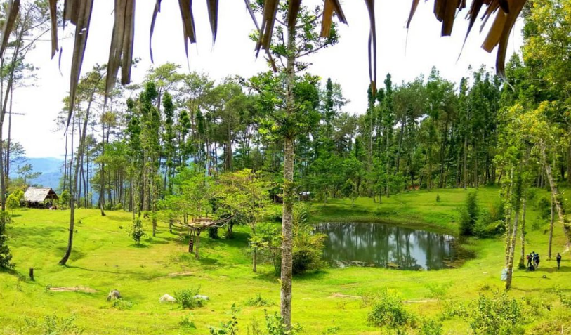 Wisata Telaga Cempaka Kebumen, Wisata Danau di Tengah Hutan yang Lagi Viral