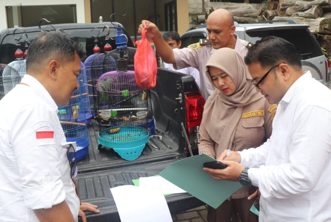 Karantina Jateng Gagalkan Penyelundupan 15 Burung dari Kalimantan di Pelabuhan Tanjung Emas