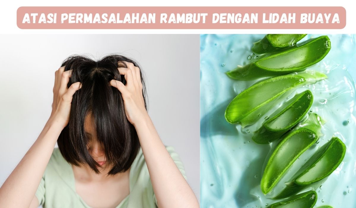 6 Manfaat Lidah Buaya untuk Rambut, Jadikan Perawatan secara Rutin dan Dapatkan Hasilnya