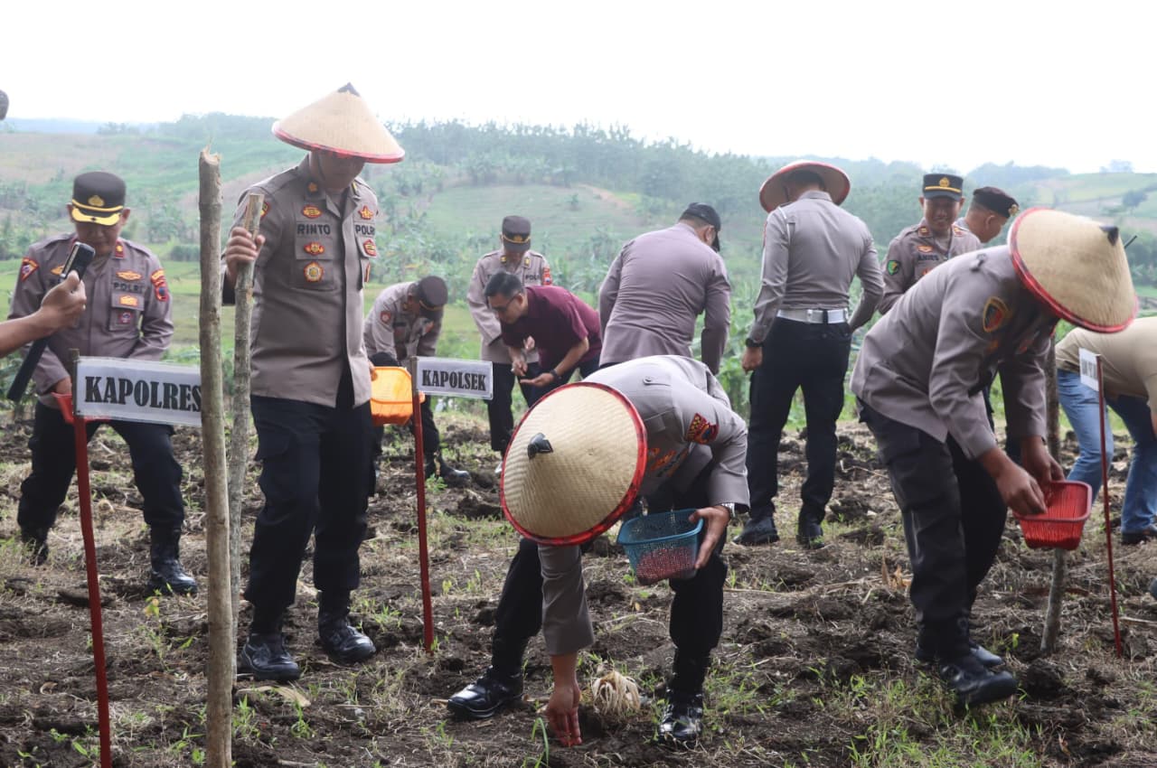 Ketika Polisi 'Menyamar' Jadi Petani, Tanam Jagung di Lahan Gersang Karangawen 