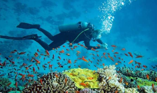 4 Tempat Wisata Bawah Laut yang Terkenal di Indonesia, Keindahannya Luar Biasa!