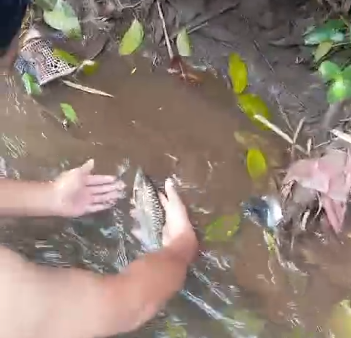 Sungai Serang Tercemar Misterius, Warga dan Babinsa Desak Usut Tuntas Pembuang Limbah