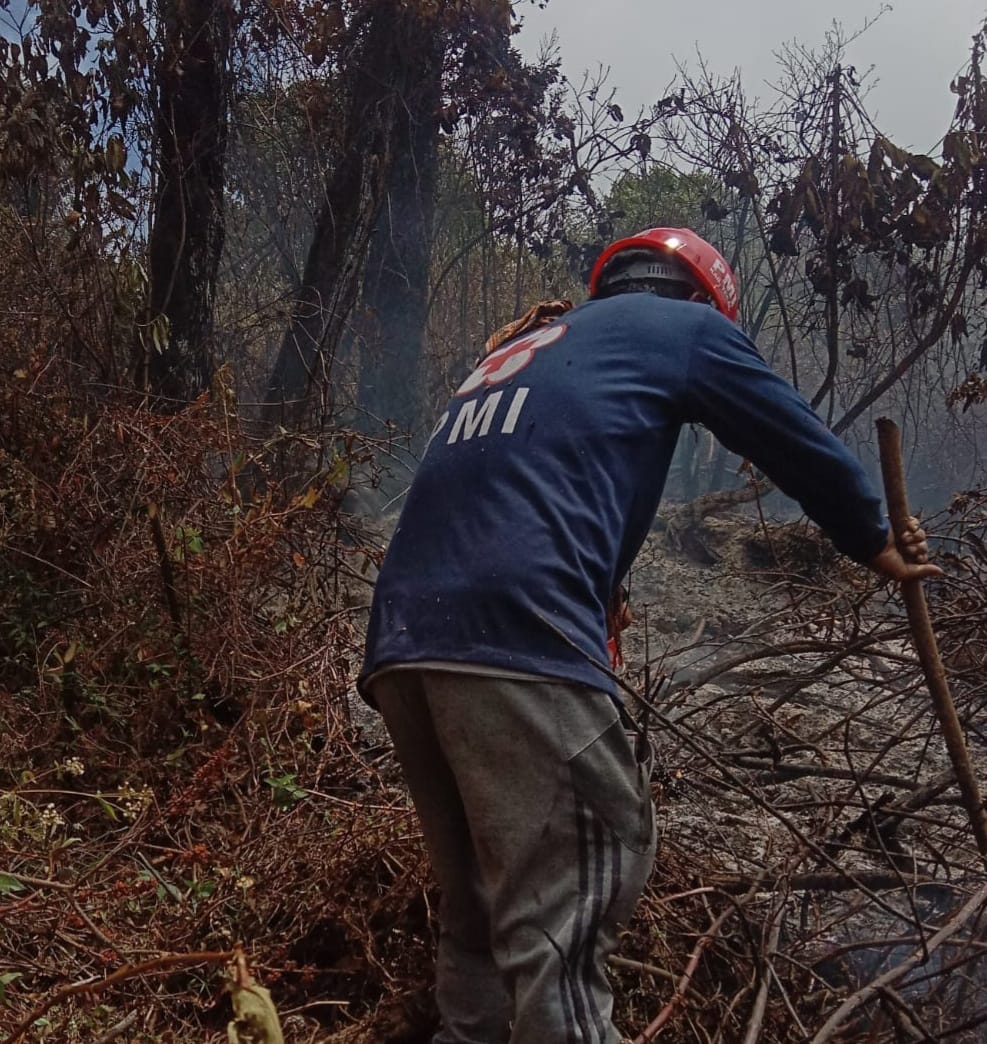 Alhamdulillah, Kebakaran di Hutan Gunung Slamet Kabupaten Tegal Akhirnya Bisa Padam