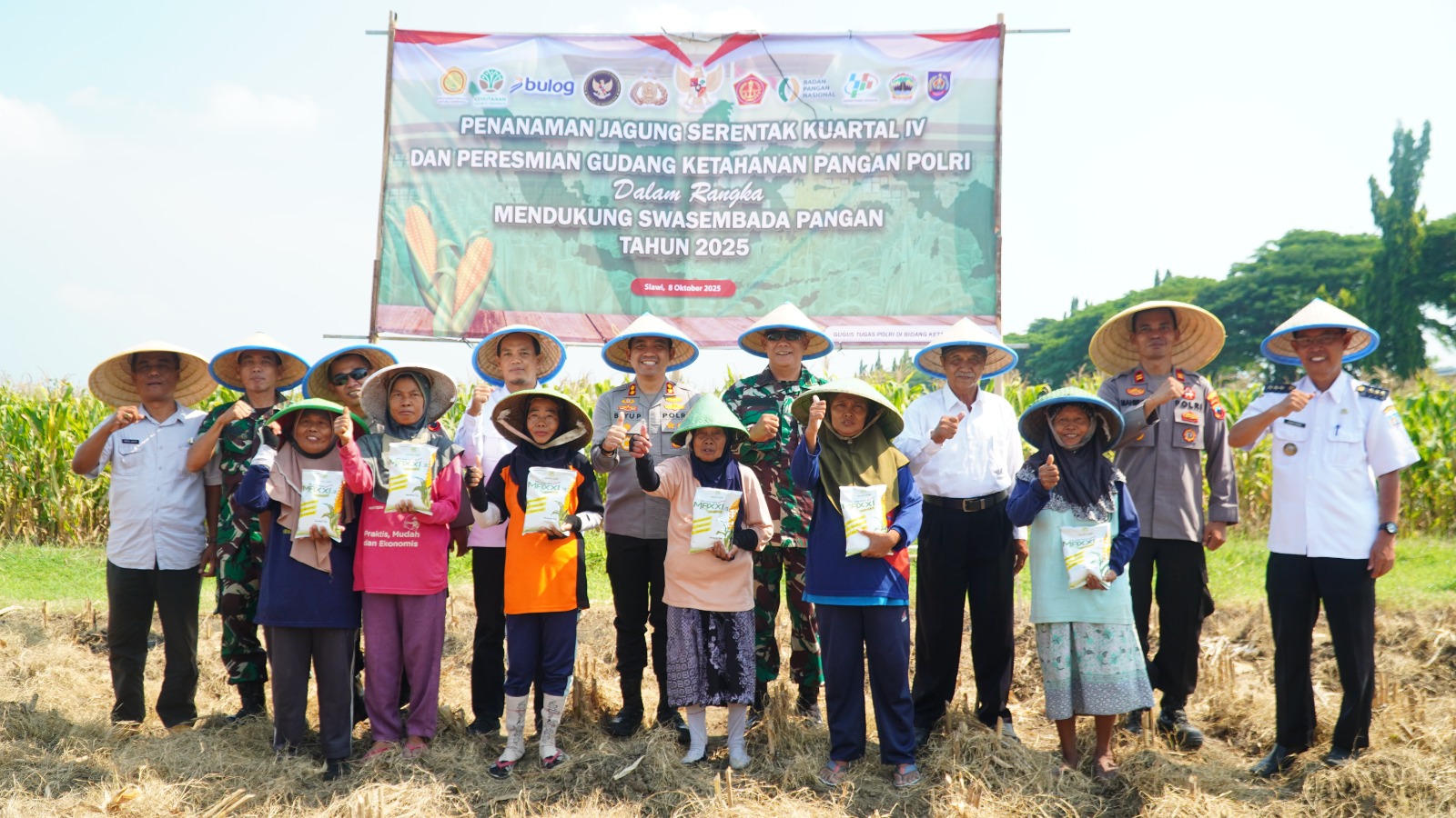 Bersinergi Tanam Jagung secara Serentak