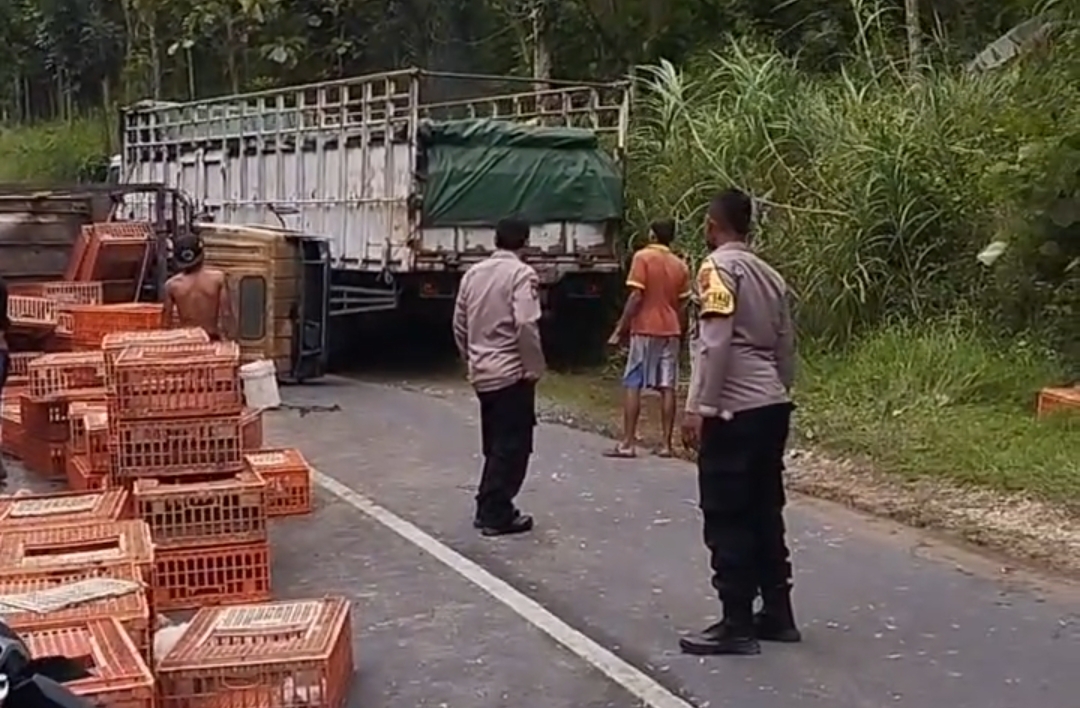 Truk Bermuatan Empat Ton Ayam Terguling di Jalur Pati Purwodadi, Ini Penyebabnya