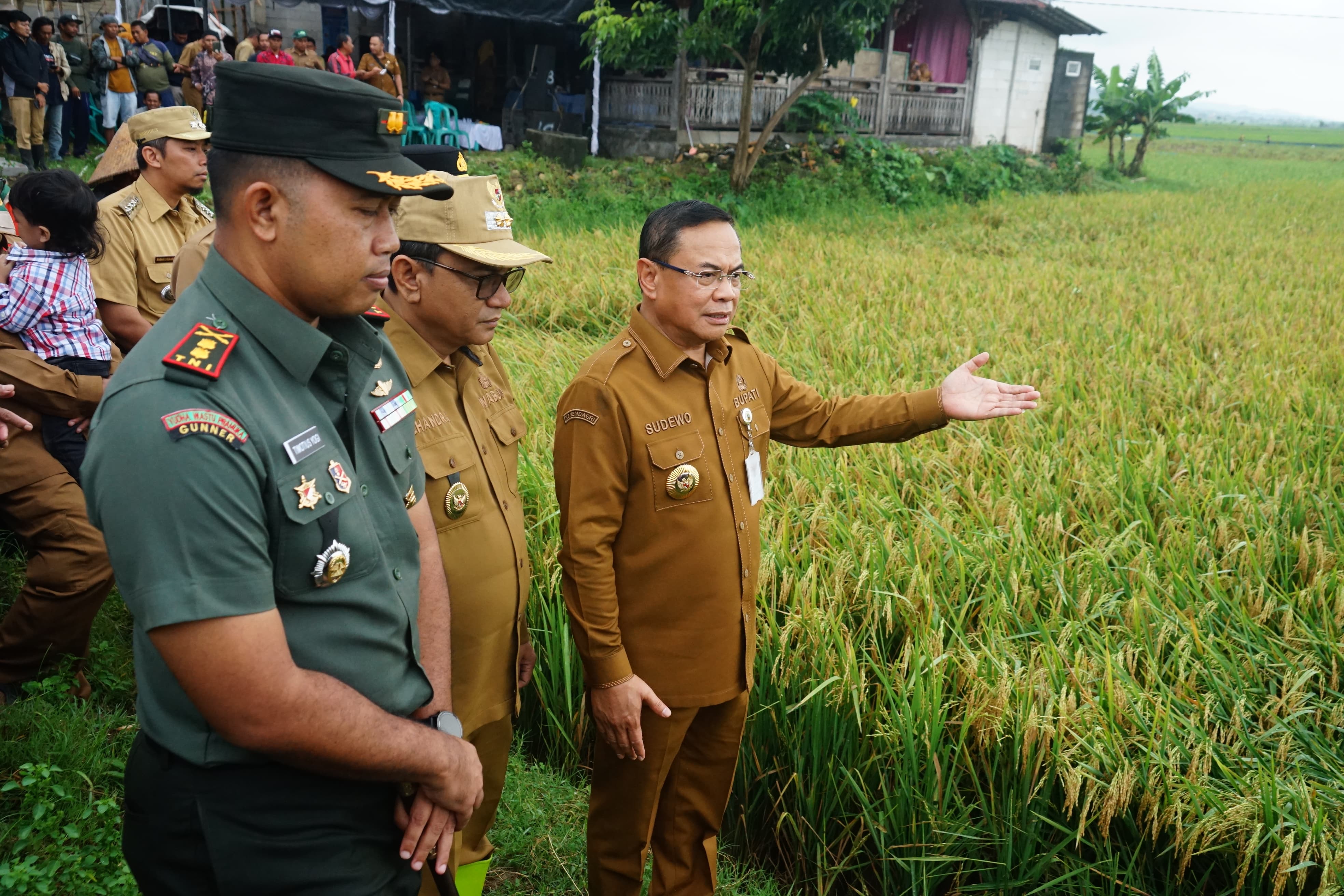 Perbesar Serapan Gabah Petani Pati, Bulog Siap Bangun Gudang Raksasa 