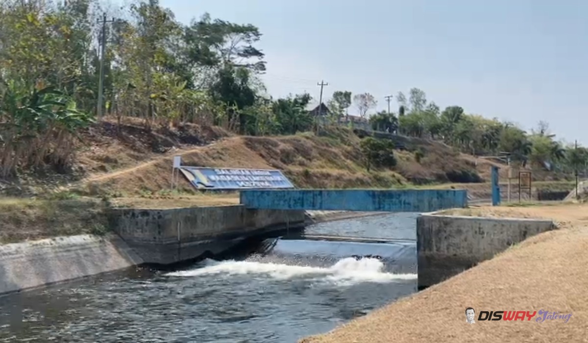 Kemarau Meluas ke Dataran Rendah Kebumen, Bendung Pejengkolan Salurkan Air untuk Ribuan Hektare Sawah