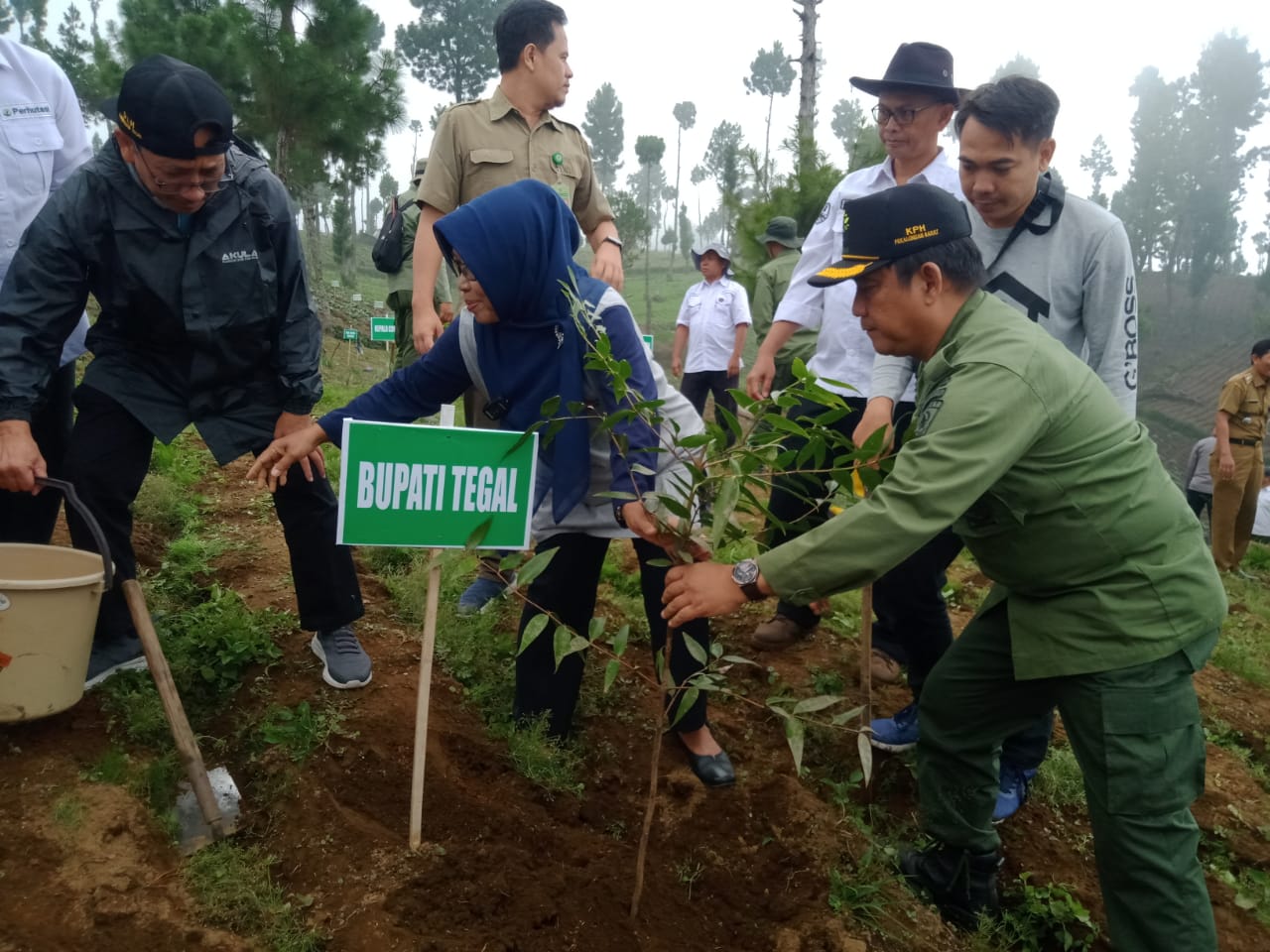 Cegah Bencana Alam, Bupati Tegal dan Perhutani Lakukan Reboisasi Hutan Lindung