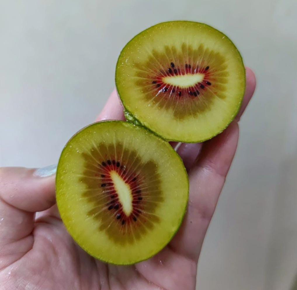 Kiwi, Buah Ajaib untuk Kesehatan Tubuh