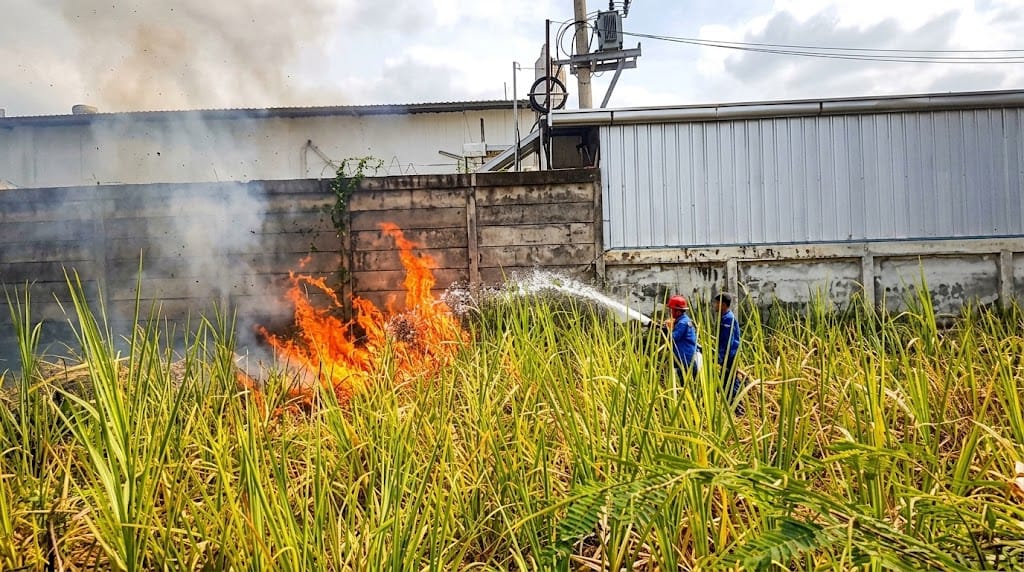 Lahan Alang-Alang Terbakar, Api Nyaris Lahap Minimarket dan Gudang Alfamart di Tegal