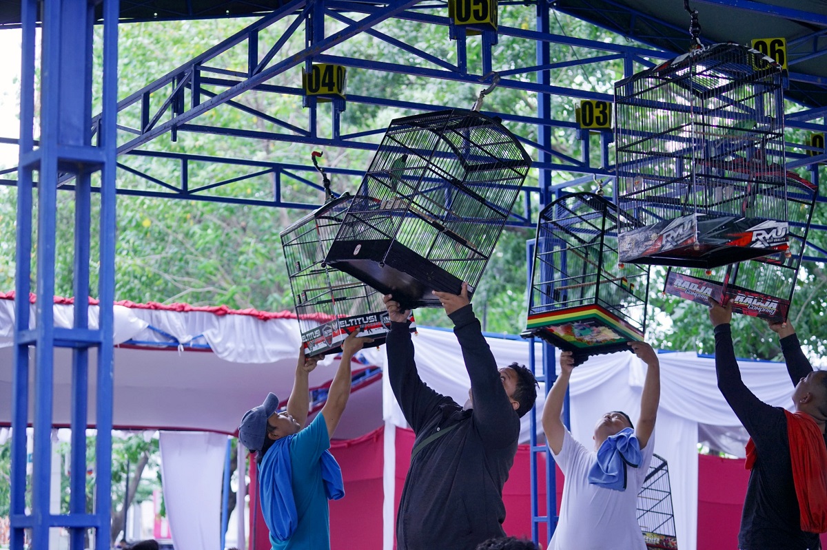 Melestarikan Fauna, 700 Peserta Berebut Kejuaraan Bergengsi Lomba Burung Piala Sepoooor 4