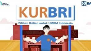 Ketahui Syarat dan Cara Pengajuan KUR BRI Rp.40 Juta Tanpa Jaminan 2024, Solusi untuk Mengembangkan Usaha