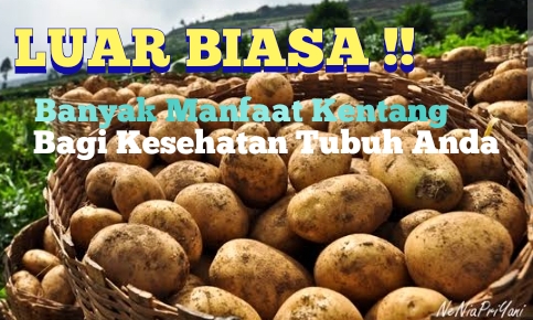 Jangan Kaget! Kentang Banyak Manfaat Bagi Kesehatan, Lihat Nomor 6