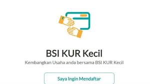 Jenis, Syarat dan Manfaat KUR BSI untuk UMKM