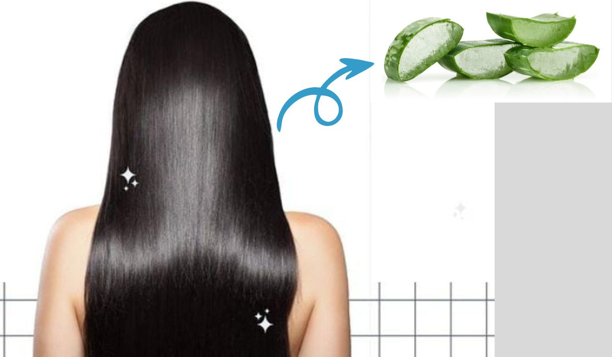 Manfaat Lidah Buaya untuk Rambut dan Cara Memakainya dengan Mudah