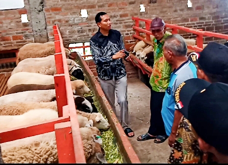 Kerja Sama Kembangkan Ternak Kambing di Kabupaten Pemalang 