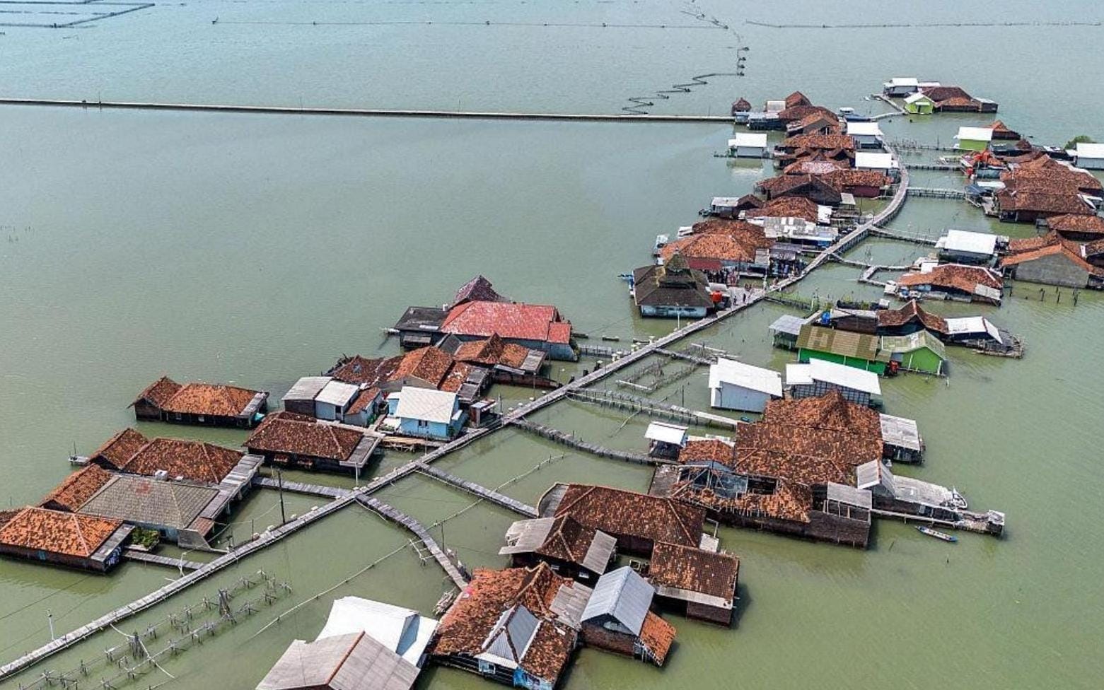Abrasi 279 Meter per Tahun, AHY Besok Turun ke Timbulsloko Demak