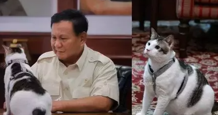 Boby Kartanegara, Kucing Kesayangan Prabowo Masuk ke Istana Negara