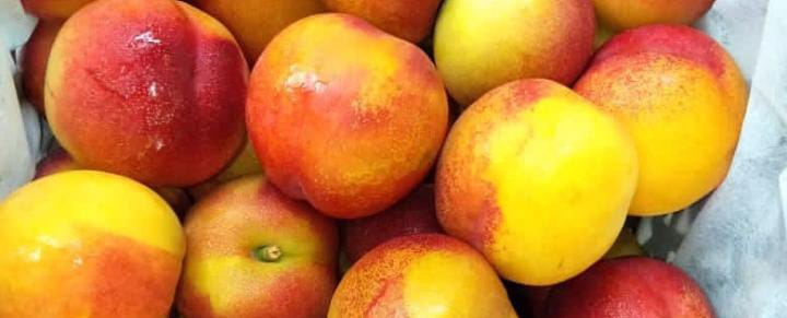 Buah Peach: Rasanya yang Enak dan Mempunyai 4 Manfaat bagi Tubuh