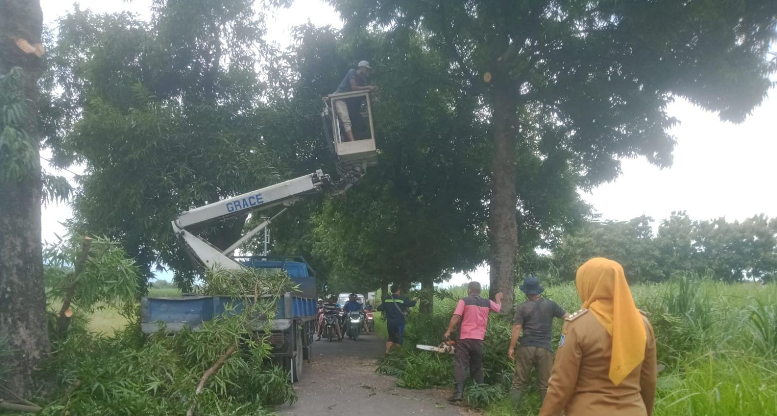 DLH Kabupaten Tegal Maksimalkan Anggaran Rutin Operasional Taman