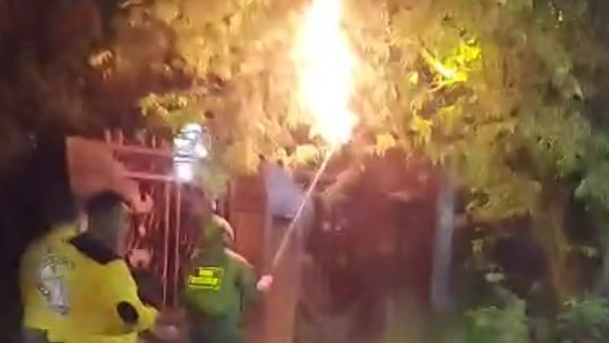 Operasi Senyap di Malam Jumat, Polisi dan BSN Rescue Kudus Basmi Sarang Tawon Penebar Maut