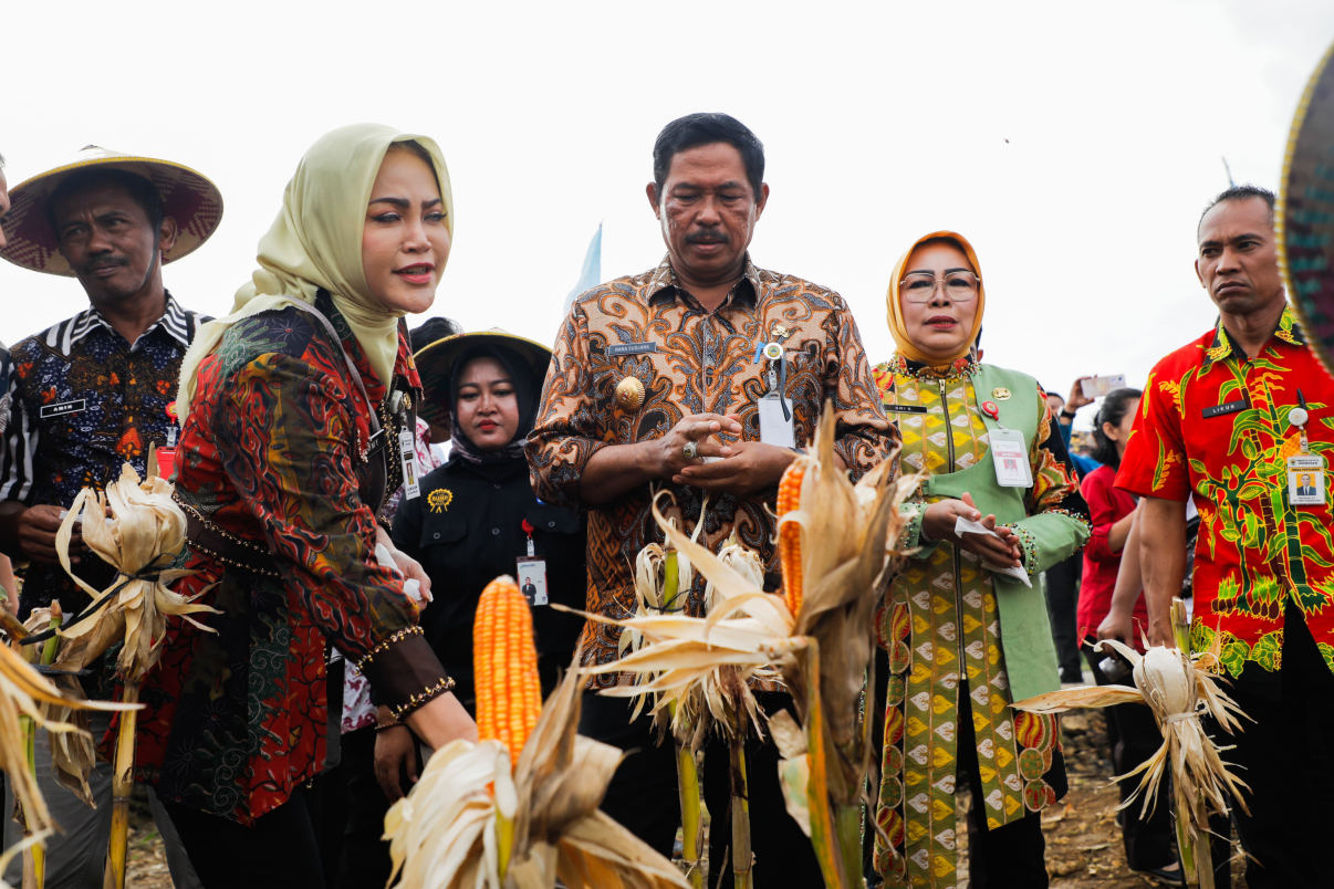 Panen Raya Jagung di Grobogan, Pj Gubernur Jateng Dorong Swasembada Pangan