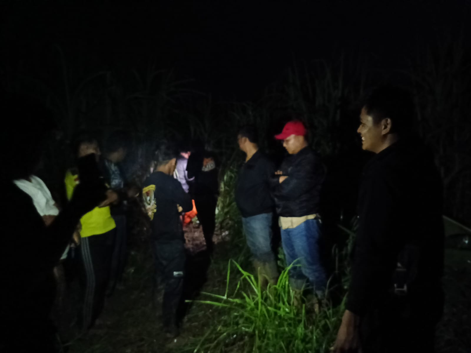 Mayat Perempuan Tanpa Busana Ditemukan di Kebun Tebu Kertasari Kabupaten Tegal 