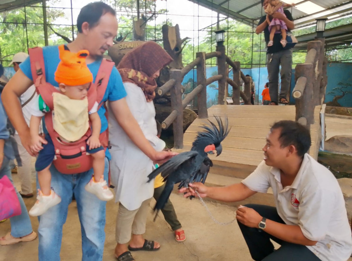 Pengunjung Objek Wisata Semarang Zoo Harapkan Perbaikan dan Penambahan Fasilitas