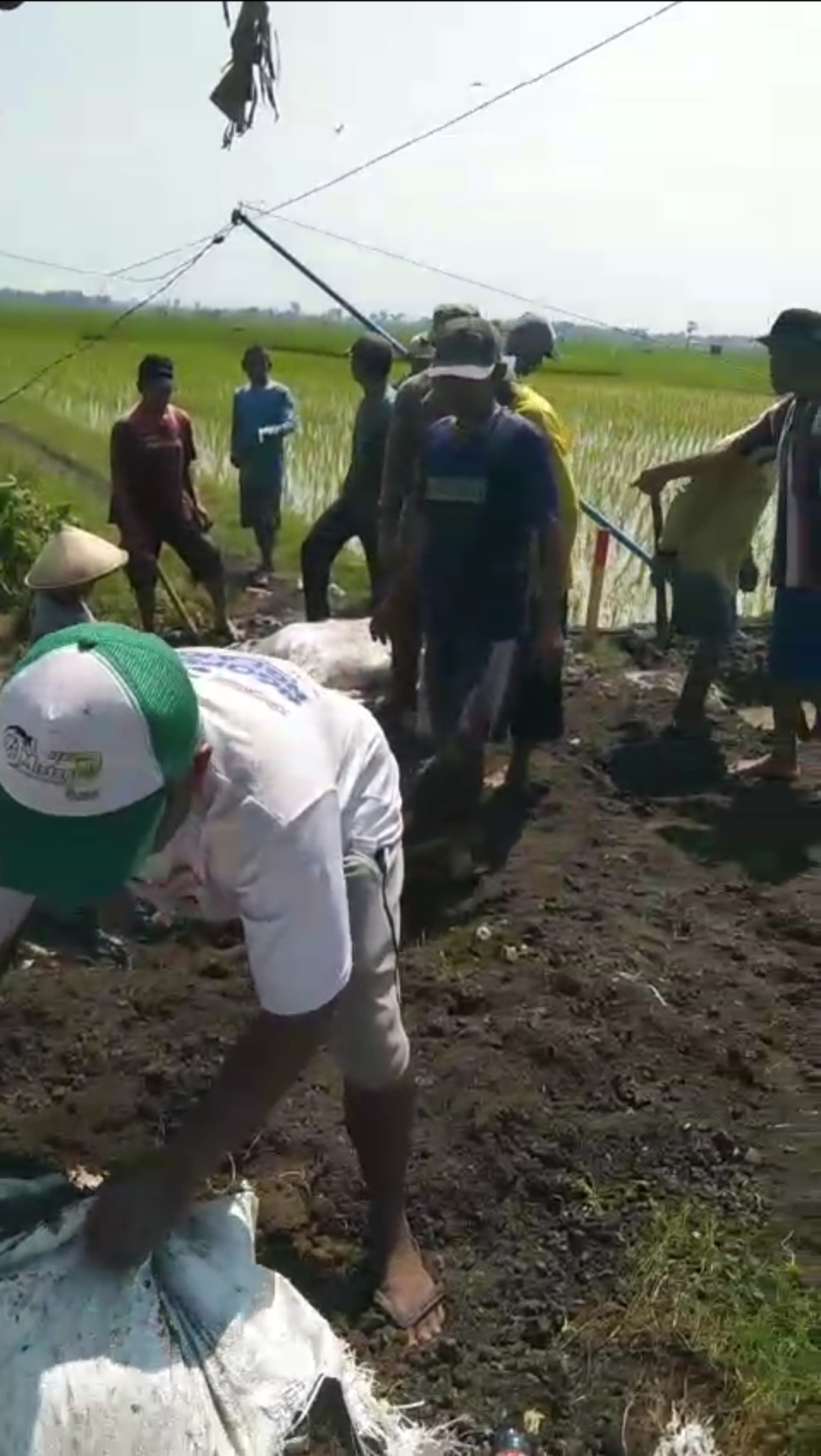 Janji Manis Normalisasi Tak Terealisasi,  Petani Jono 