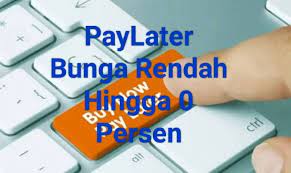 8 Daftar Aplikasi PayLater Bunga Rendah Hingga 0% Terbaik 2024, Dijamin Aman dan Terdaftar OJK