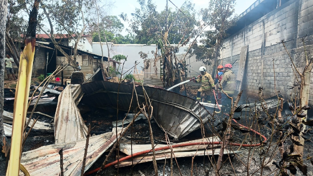 9 Kambing Mati Terjebak Api, Kandang 100 Meter Persegi di Patemon Semarang Ludes