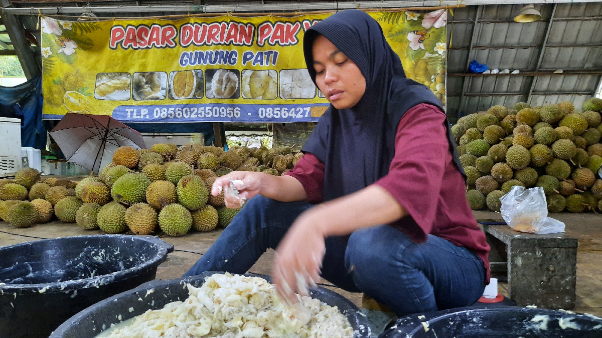 Festival Durian Cempoko Gunungpati Digelar Tiga Hari, Ada Lomba Makan hingga Kontes Durian Unggul 