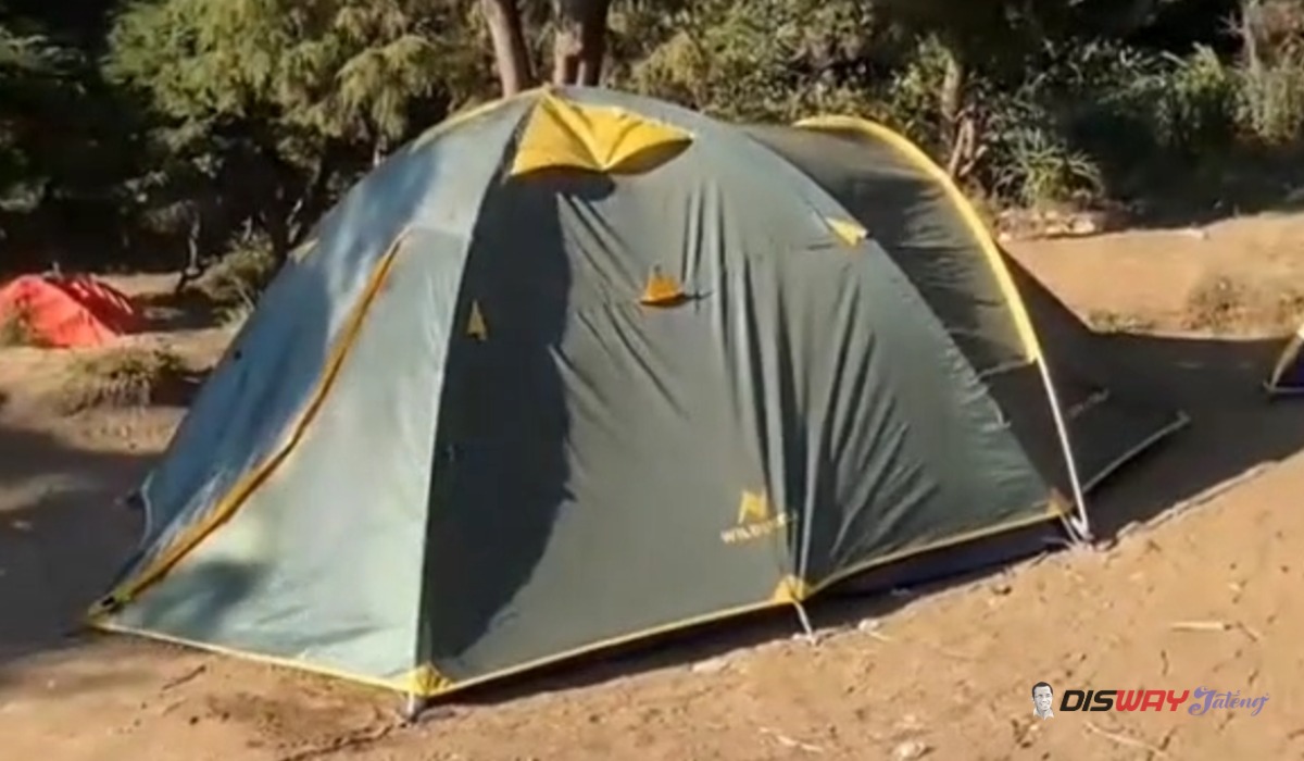Viral Balita Menangis di Tenda Gunung Prau Ditinggal Orang Tua ke Puncak