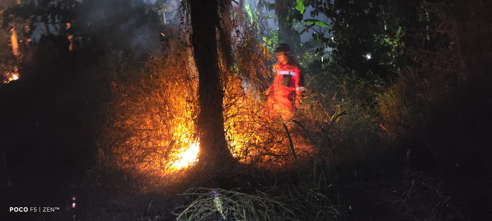 Dua Lahan Terbakar, Api Nyaris Sambar Rumah Warga di Tegal