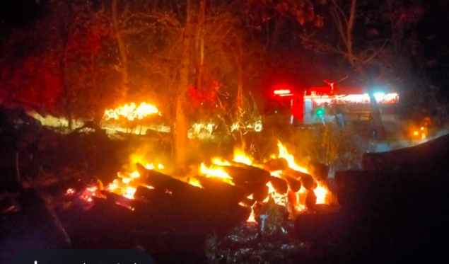 30 Meter Kubik Kayu Mahoni Terbakar di Boyolali, Kerugian Lebih Rp30 Juta