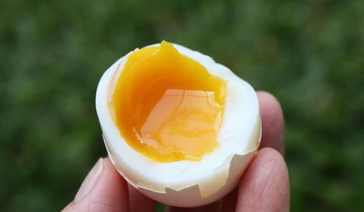 Apakah Bisa Telur Rebus untuk Diet? Berikut Manfaat dan Penjelasannya