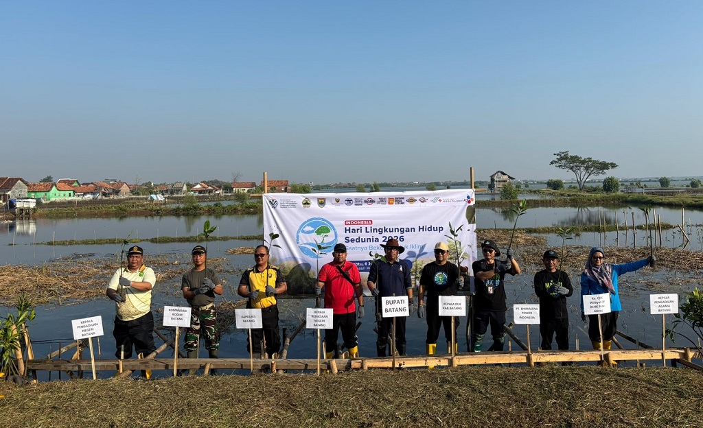 Hadapi Krisis Iklim dan Abrasi di Batang, 30 Ribu Mangrove Jadi Solusi 