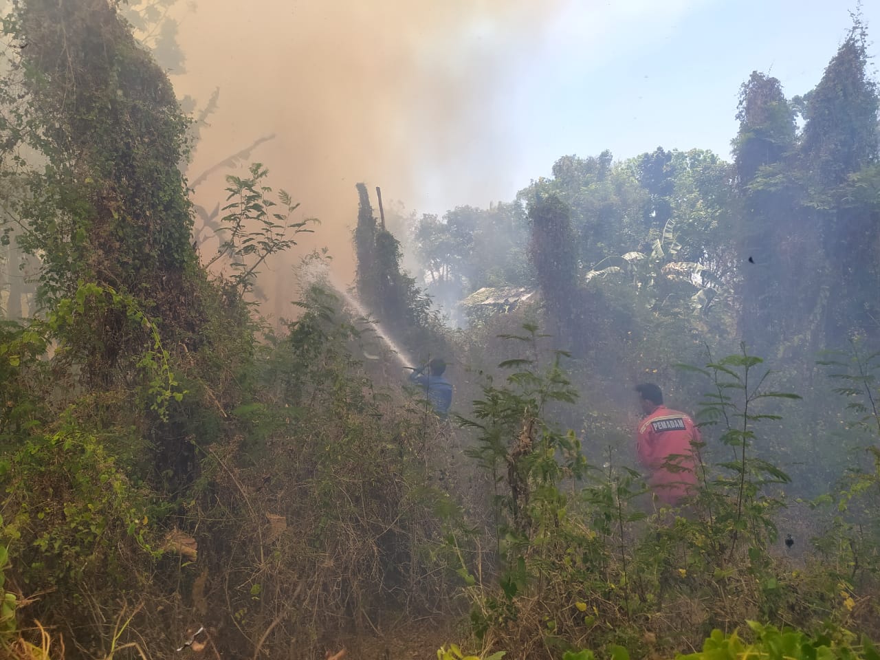 Lahan Kosong di Lebaksiu Tegal Terbakar, Dua Pabrik Nyaris Jadi Amukan Si Jago Merah