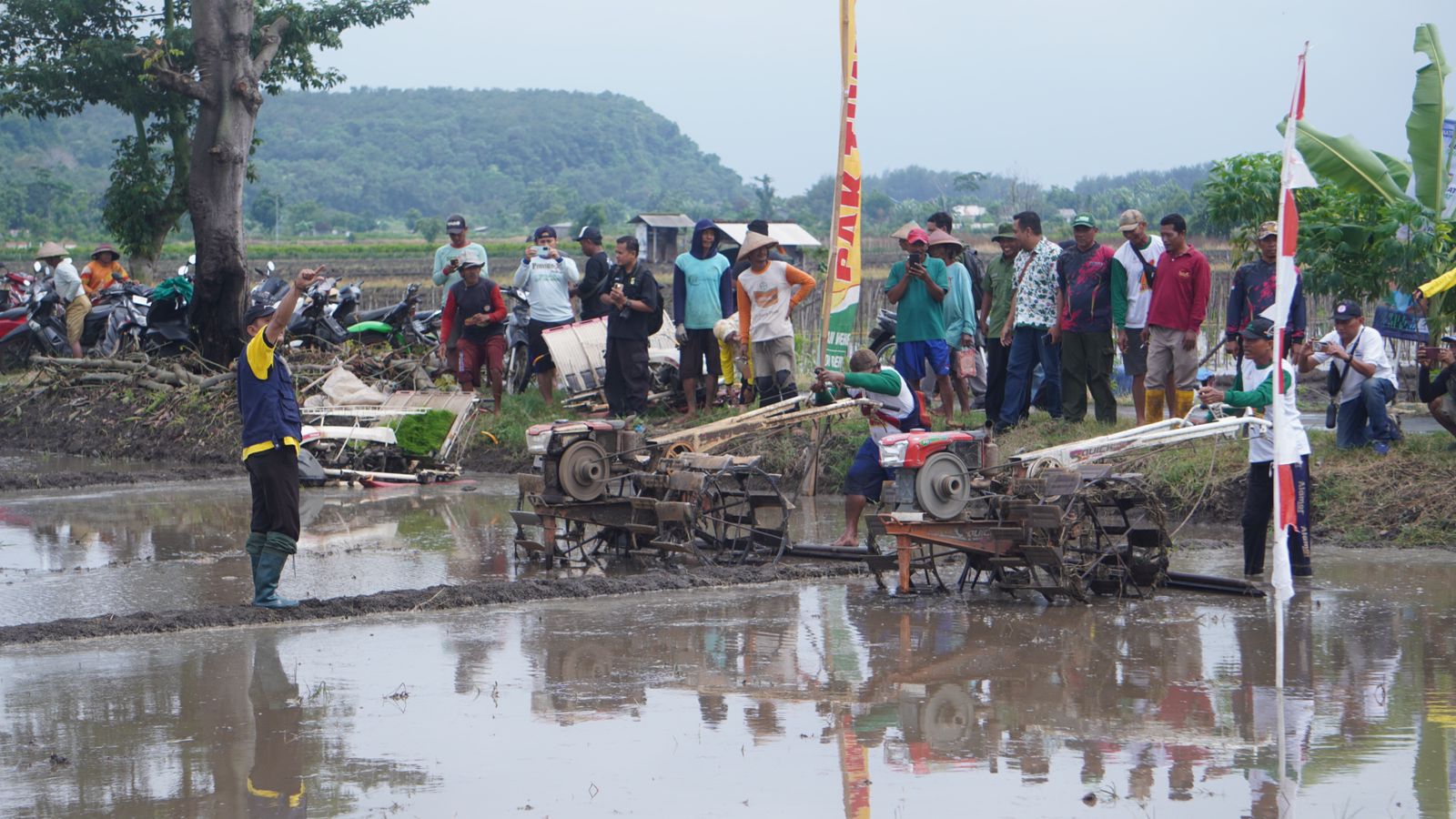 Gaspol di Sawah! Lomba Balap Traktor Warnai Musim Tanam Padi di Batang