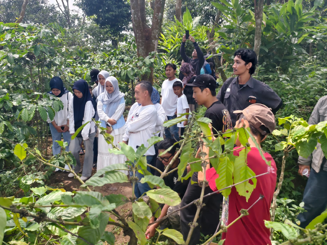 Touring ke Lereng Muria, Konsumen Yamaha Diajak Petik Kopi hingga Racik Sendiri