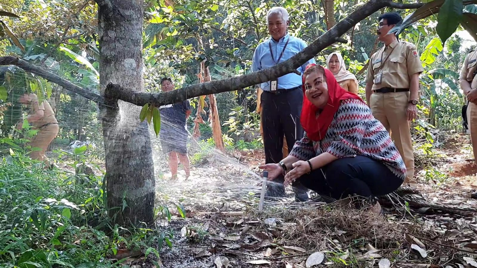 Durian Malika Khas Semarang Berusia 200 Tahun, Terselamatkan Dari Petir dan Kekeringan