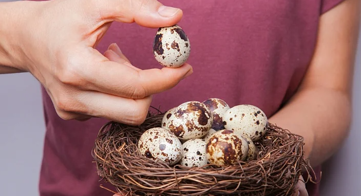 Jarang Diketahui! Ini Manfaat Telur Puyuh untuk Kesehatan Tubuh