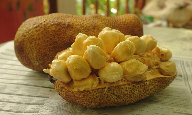 Buah yang Sekilas Mirip dengan Nangka! Inilah 8 Manfaat Buah Cempedak Bagi Kesehatan