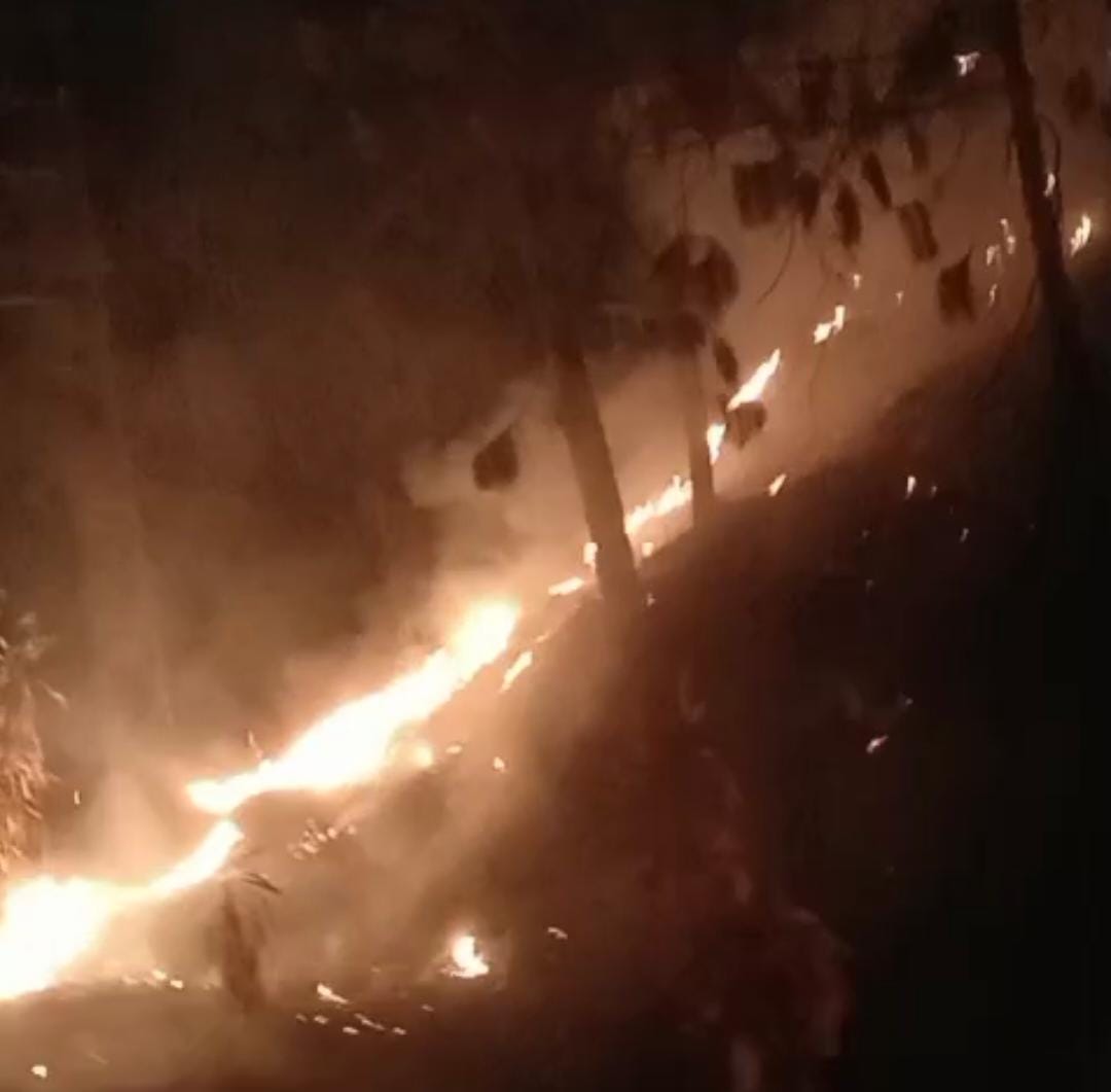 Hutan Pinus Guci Tegal Membara, Asap Hitam Selimuti Permukiman Warga